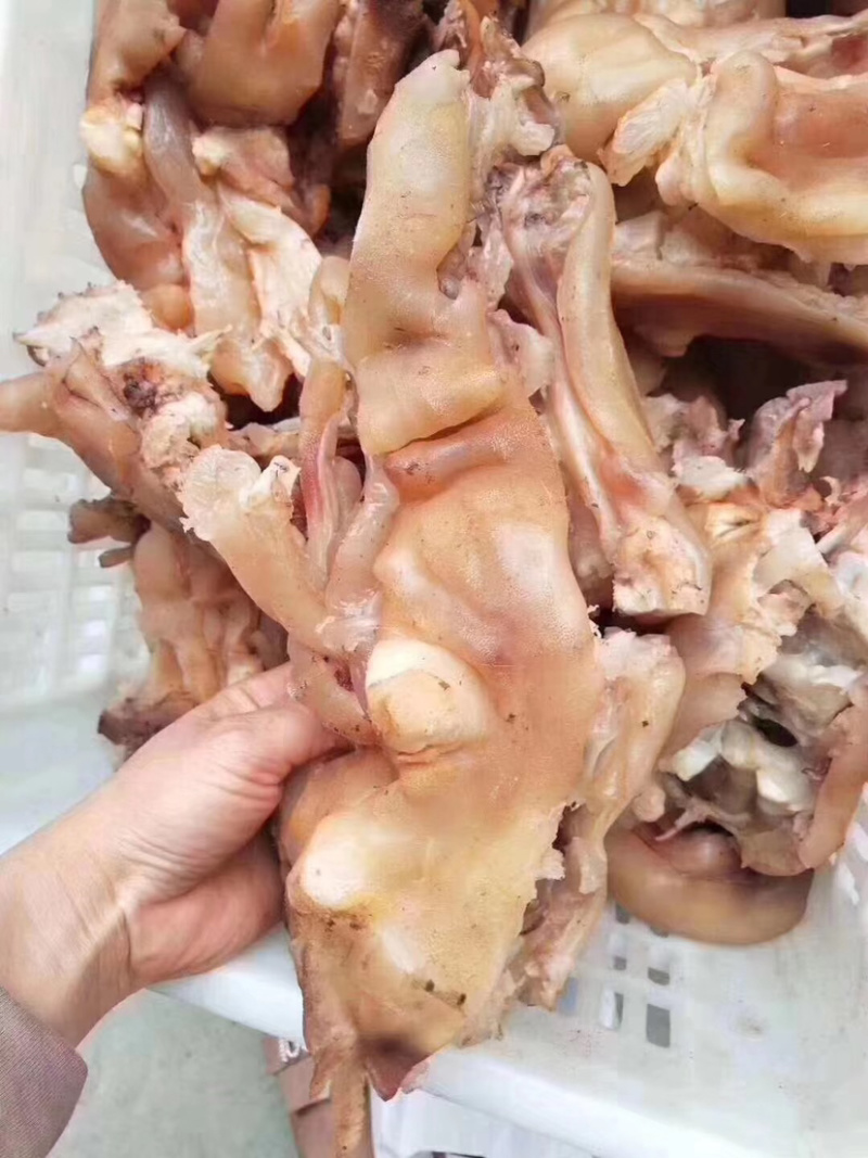 熟牛蹄筋