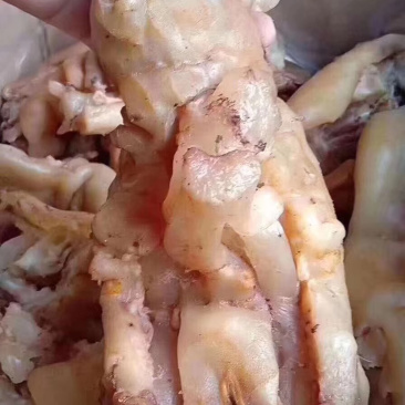 熟牛蹄筋