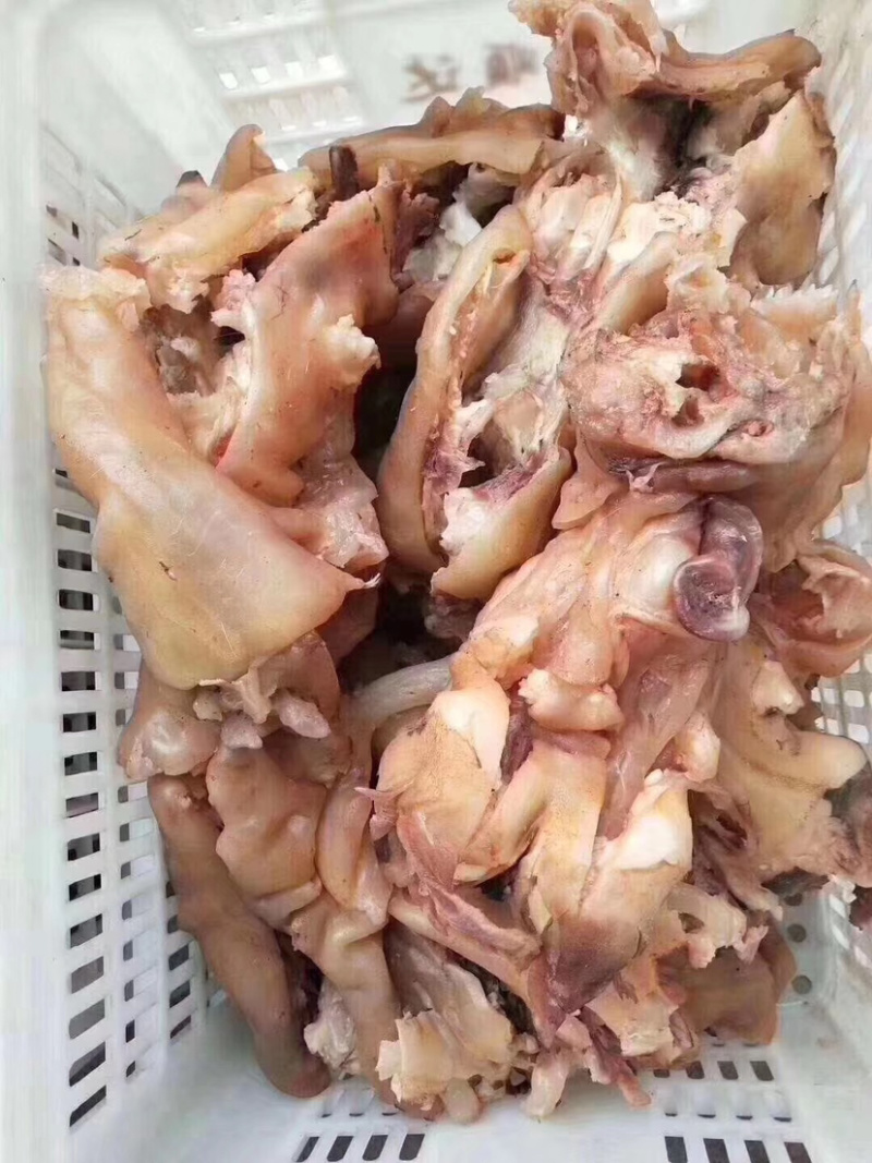 熟牛蹄筋