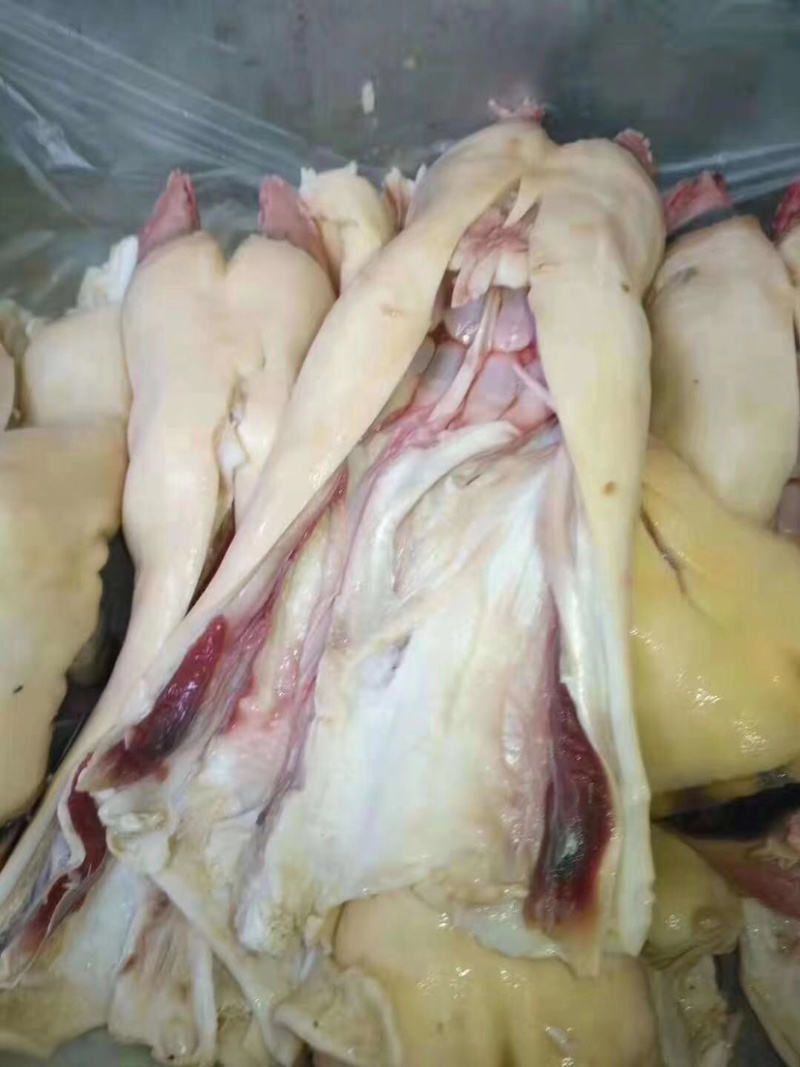 半去骨牛蹄厂家直销一手货源可供实地参考