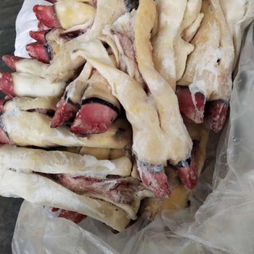 半去骨牛蹄厂家直销一手货源可供实地参考