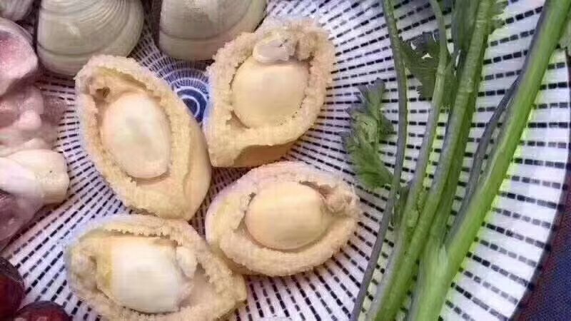 605头鲍鱼干
