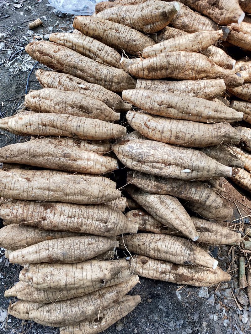 新鲜葛根，需要的请联糸