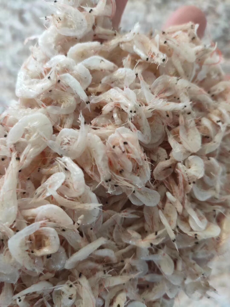 精品虾皮白虾皮产地直供一手货源量大从优保质保量诚信经营