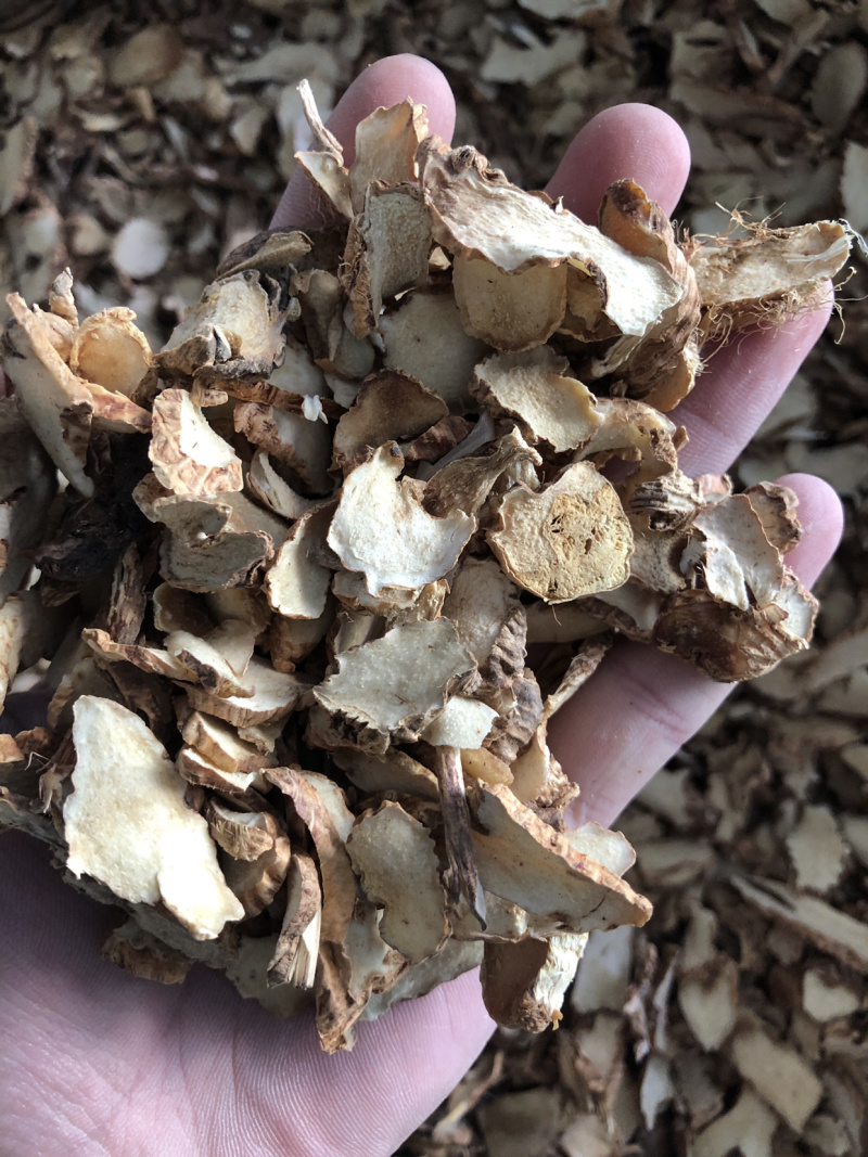 【知母】知母片量大从优物美价廉产地直供
