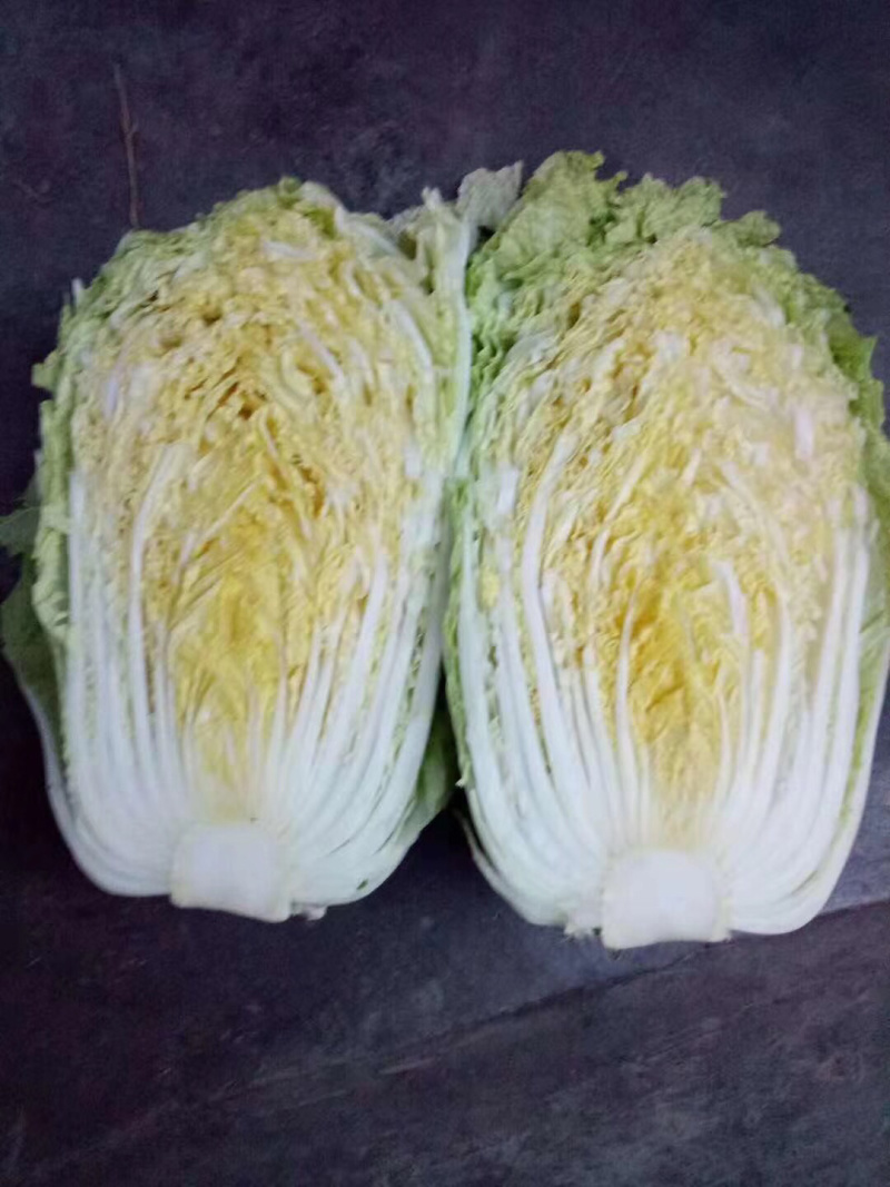 白菜.秋宝.大黄心山东省，滕州市大量上市