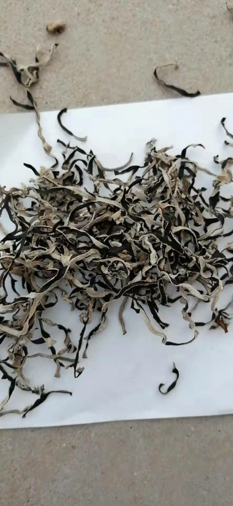 木耳丝