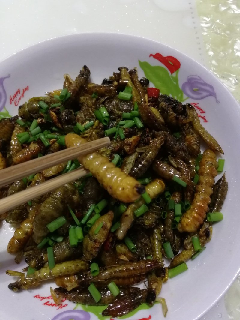 柴虫木虫哈虫干冻货活体速冻食用6公分产地直供