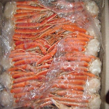自助餐专用雪蟹腿，帝王蟹腿