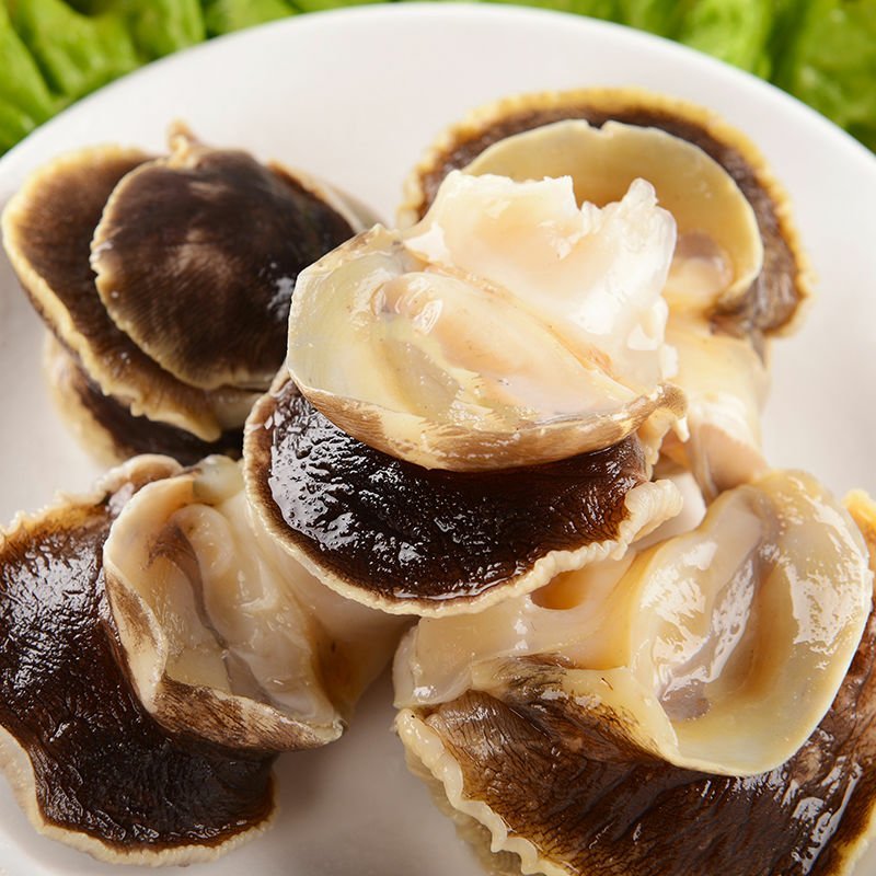 新鲜冷冻香螺肉去内脏深海水产贝类玉螺肉海螺肉海螺肉