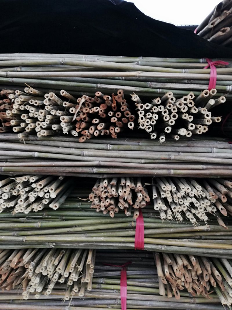 大量批发各种规格的菜架竹量大丛优