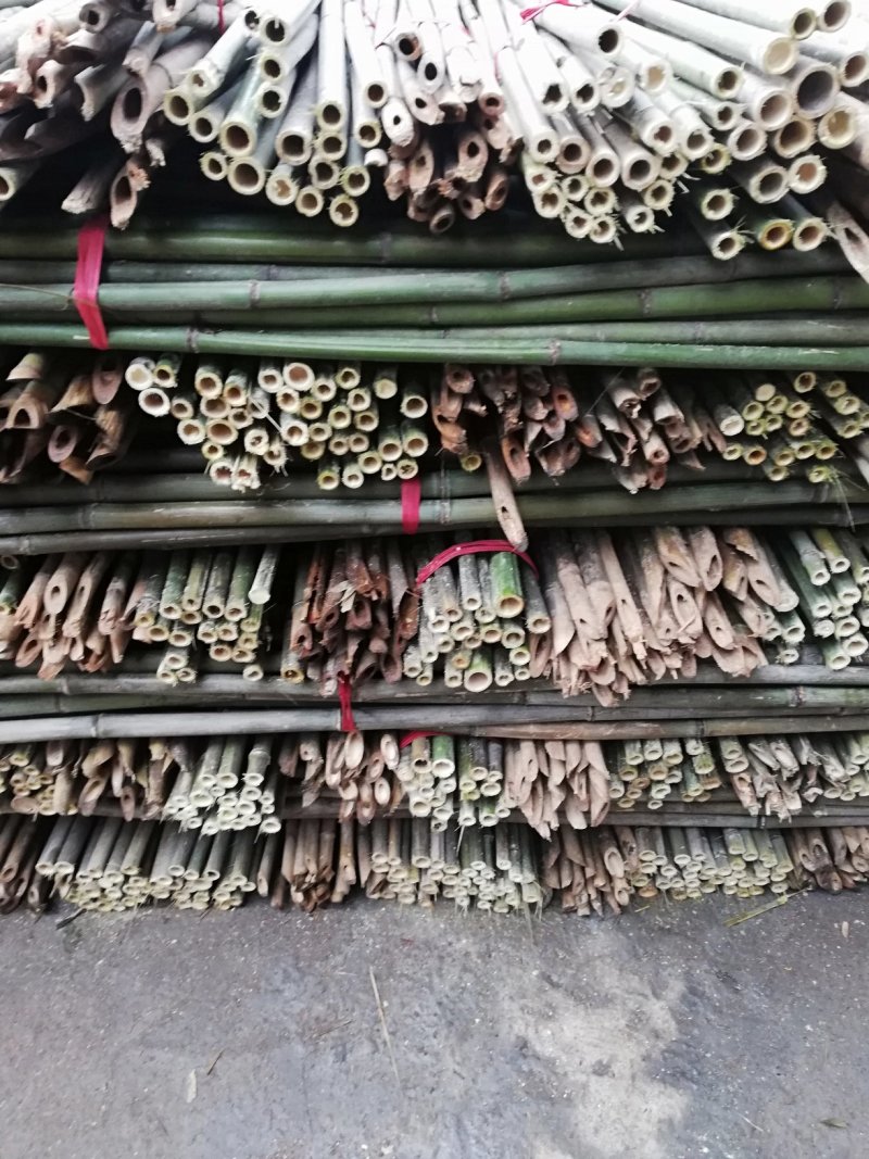 大量批发各种规格的菜架竹量大丛优