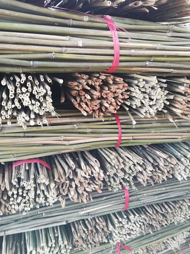 大量批发各种规格的菜架竹量大丛优