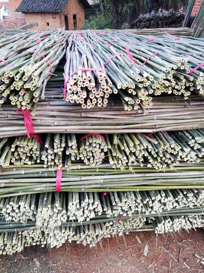 大量批发各种规格的菜架竹量大丛优
