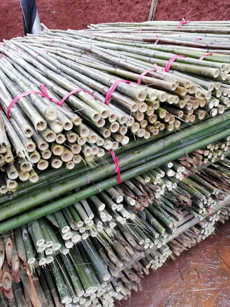 大量批发各种规格的菜架竹量大丛优