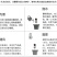 浓香玫瑰花苗大花月季老庄四季玫瑰苗批发