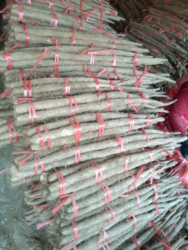 白玉小长条