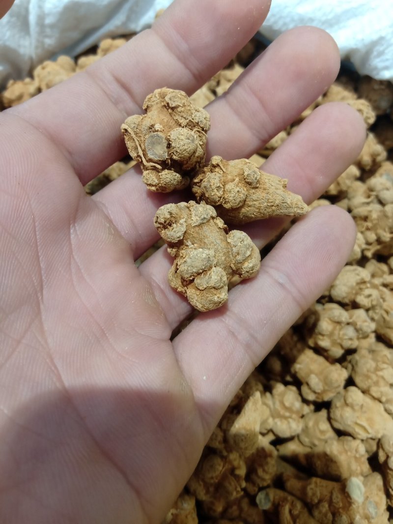 三七可免费打粉，包邮，量大电议