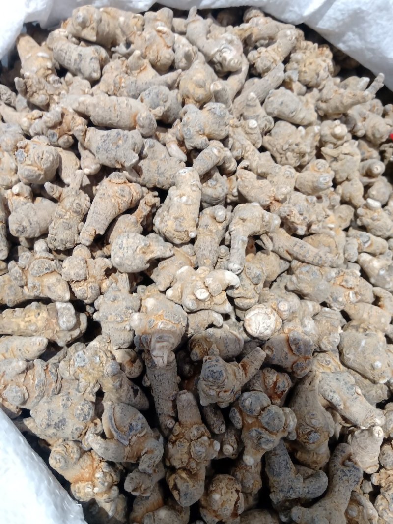 三七可免费打粉，包邮，量大电议