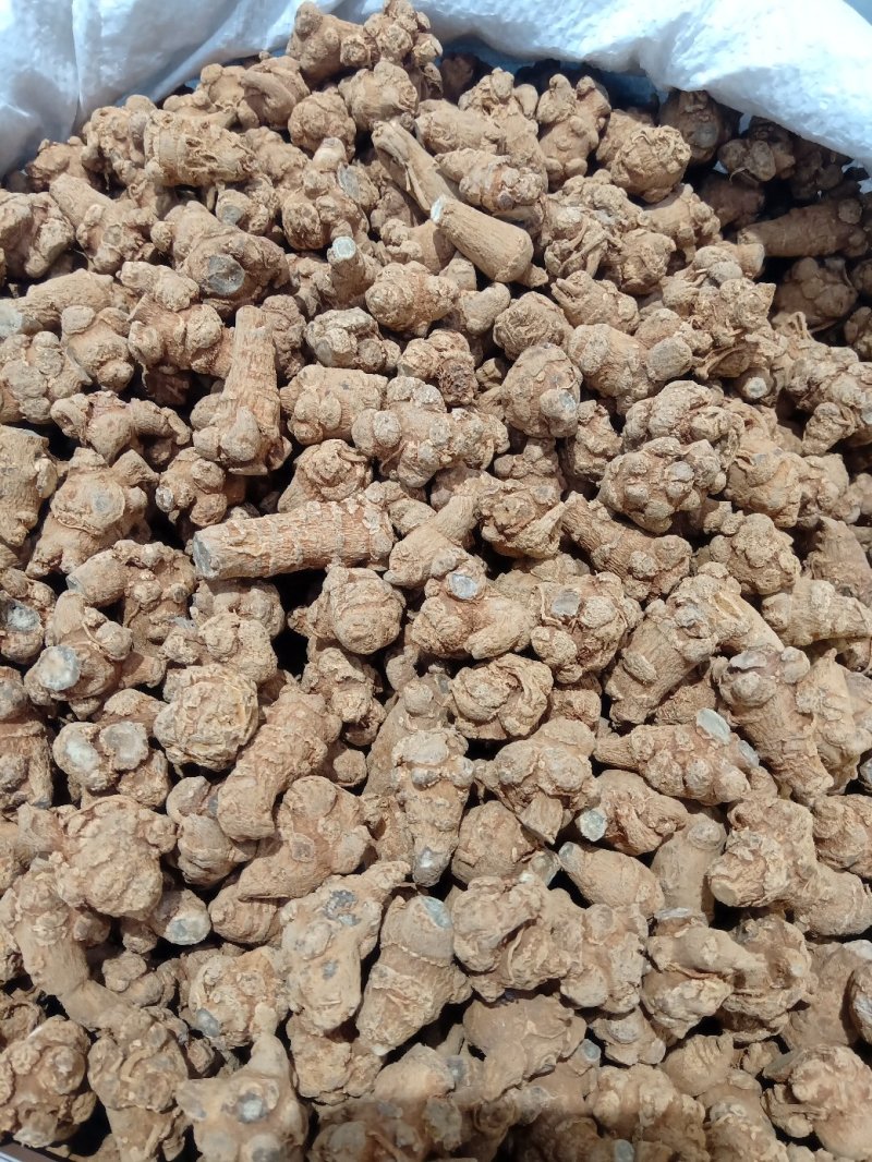 三七可免费打粉，包邮，量大电议