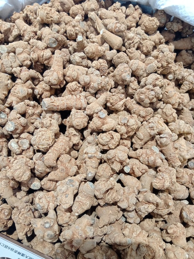 三七可免费打粉，包邮，量大电议