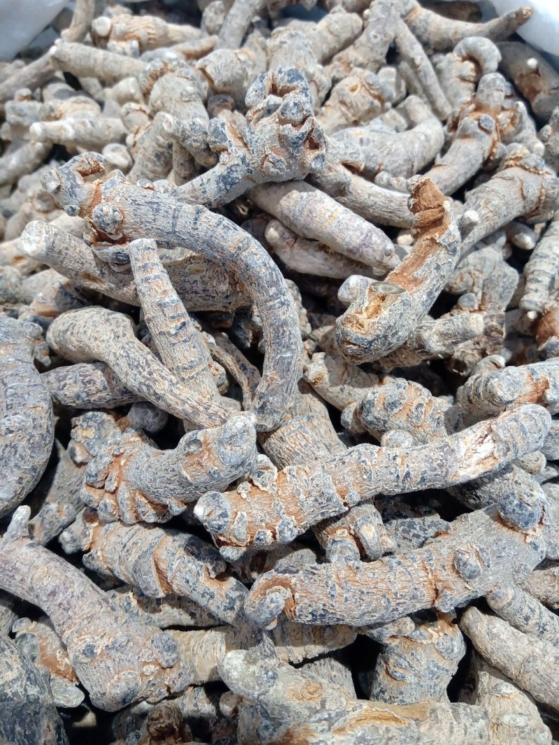 三七可免费打粉，包邮，量大电议