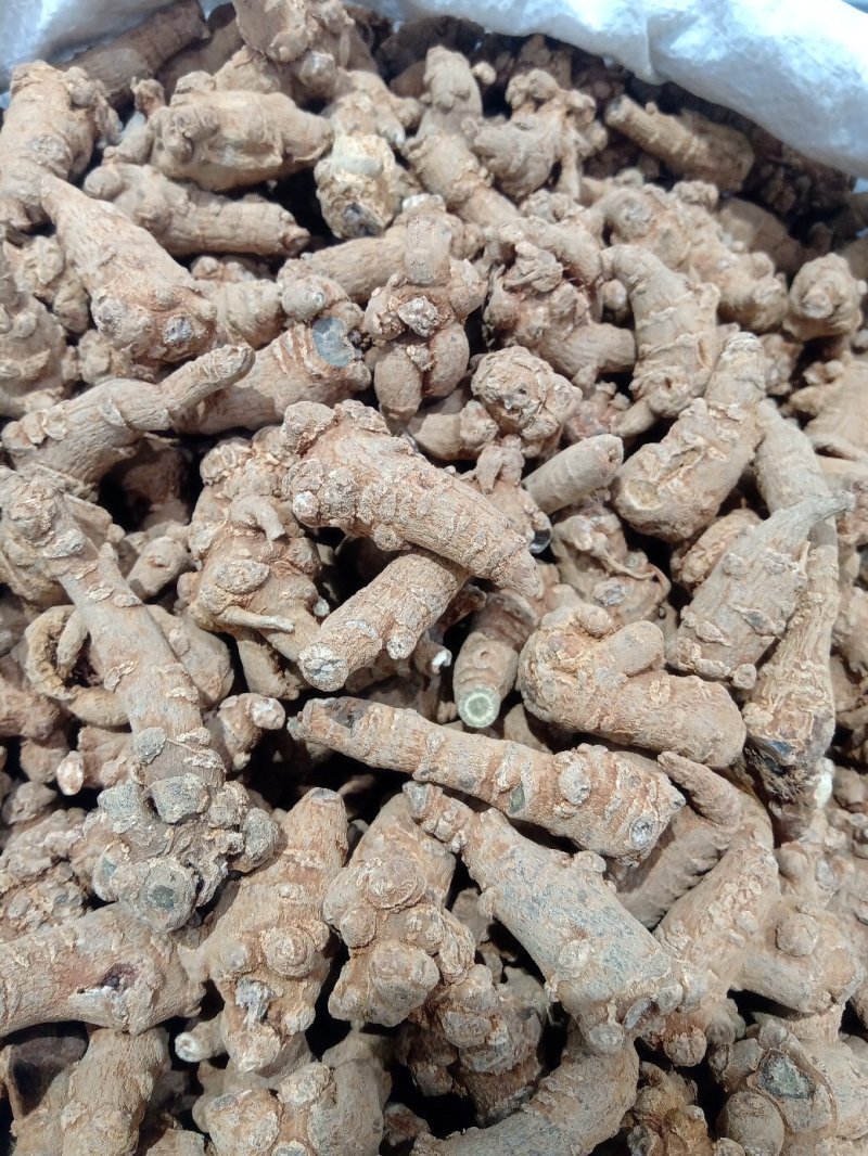 三七可免费打粉，包邮，量大电议