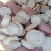 白芍1公斤起批不包邮量大电议供应千种中药材