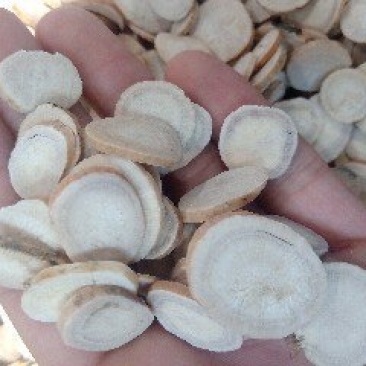 白芍1公斤起批不包邮量大电议供应千种中药材