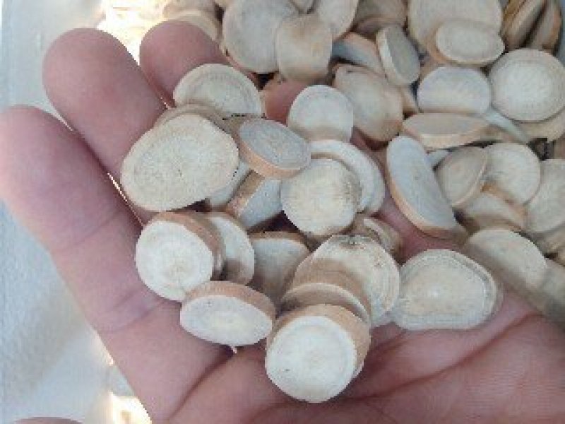 白芍1公斤起批不包邮量大电议供应千种中药材