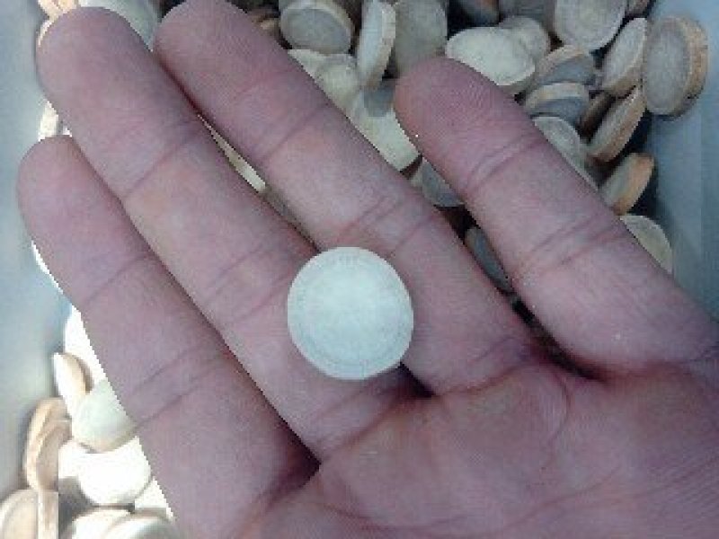 白芍1公斤起批不包邮量大电议供应千种中药材