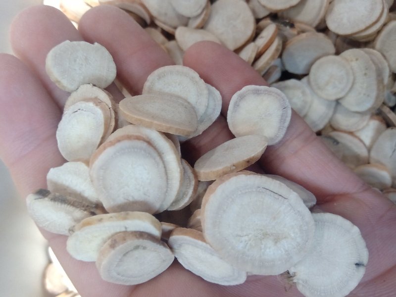 白芍1公斤起批不包邮量大电议供应千种中药材