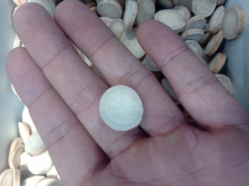 白芍1公斤起批不包邮量大电议供应千种中药材