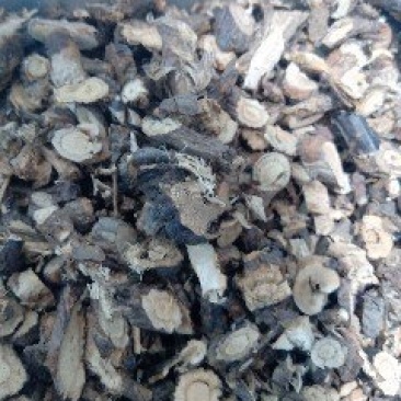 金雀根1公斤起批不包邮量大电议供应千种中药材