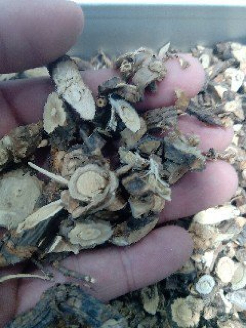 金雀根1公斤起批不包邮量大电议供应千种中药材