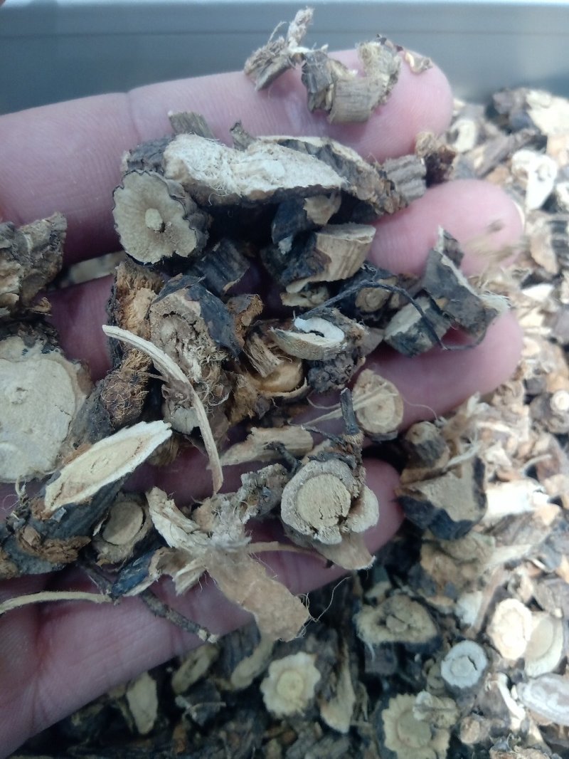 金雀根1公斤起批不包邮量大电议供应千种中药材