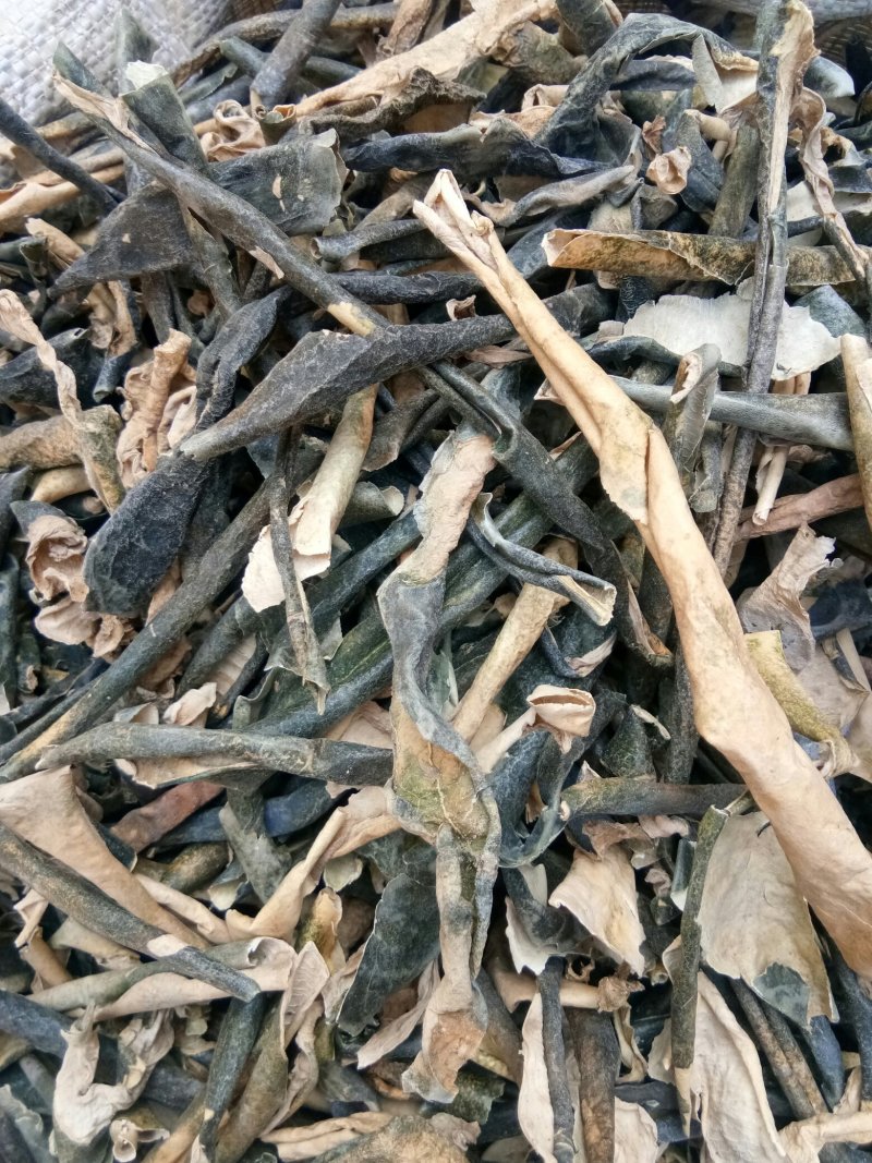 冬瓜皮无硫干品现货实拍干净无杂产地直供