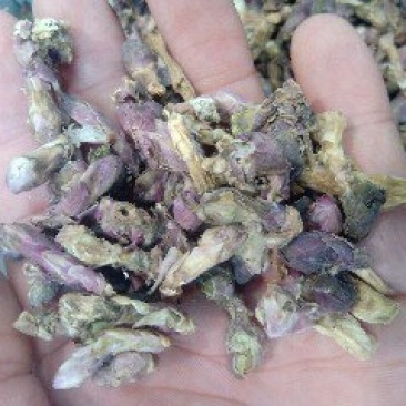 冬花1公斤起批运费电议……供应千种中药材欢迎咨询各种中药