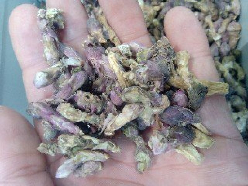 冬花1公斤起批运费电议……供应千种中药材欢迎咨询各种中药
