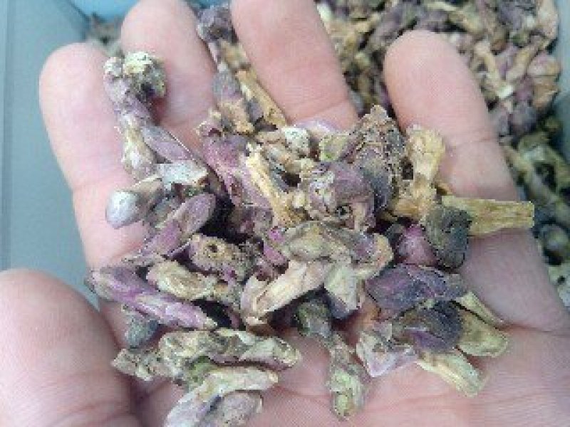 冬花1公斤起批运费电议……供应千种中药材欢迎咨询各种中药