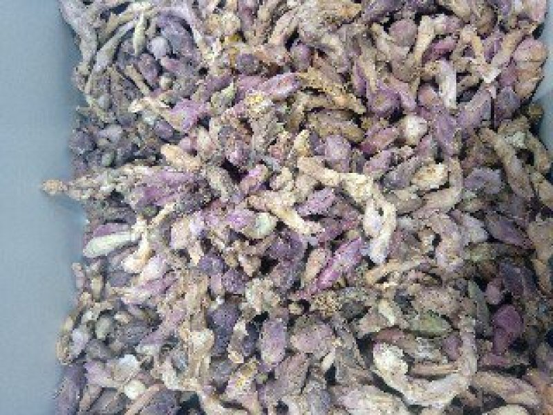 冬花1公斤起批运费电议……供应千种中药材欢迎咨询各种中药