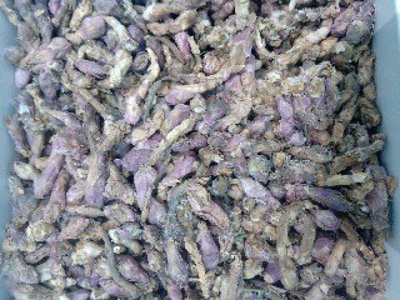 冬花1公斤起批运费电议……供应千种中药材欢迎咨询各种中药