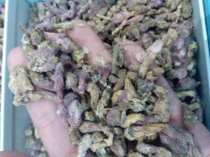 冬花1公斤起批运费电议……供应千种中药材欢迎咨询各种中药