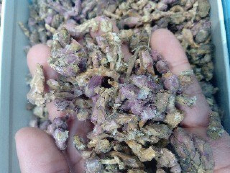 冬花1公斤起批运费电议……供应千种中药材欢迎咨询各种中药