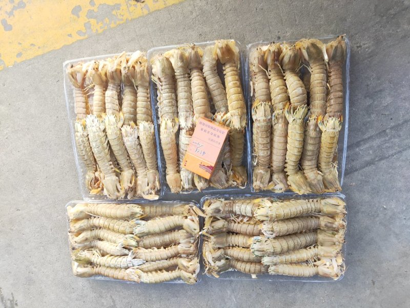 皮皮虾