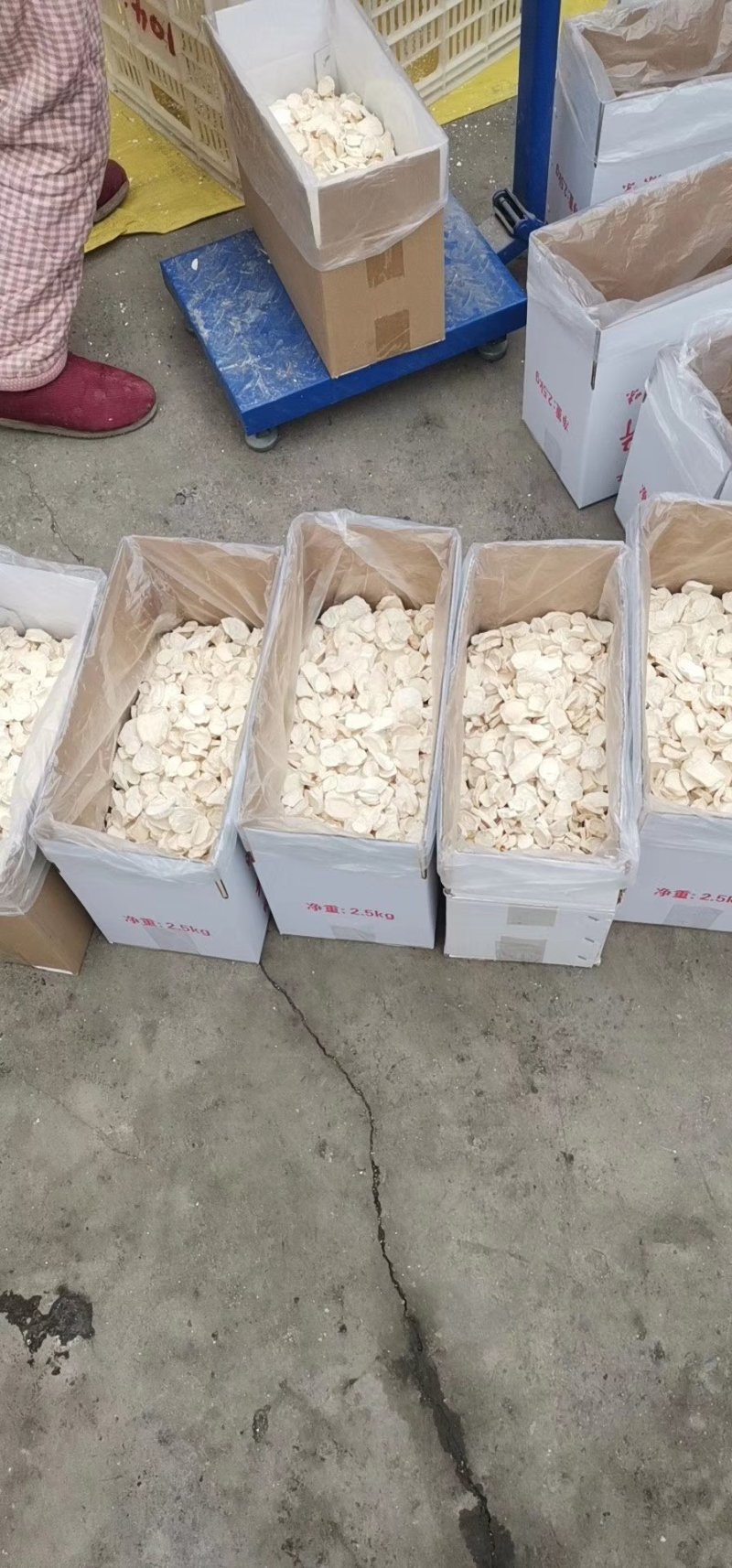 河南焦作温县古怀庆府垆土铁棍山药片中草药材药食同怀山药片