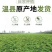【实力【温县怀甄60起步混货2000斤，品质保证诚信为本