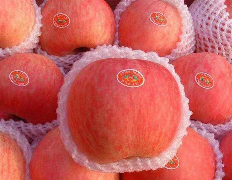 山东【脆甜】红富士苹果产地直销批发，质优价廉，皮薄脆甜
