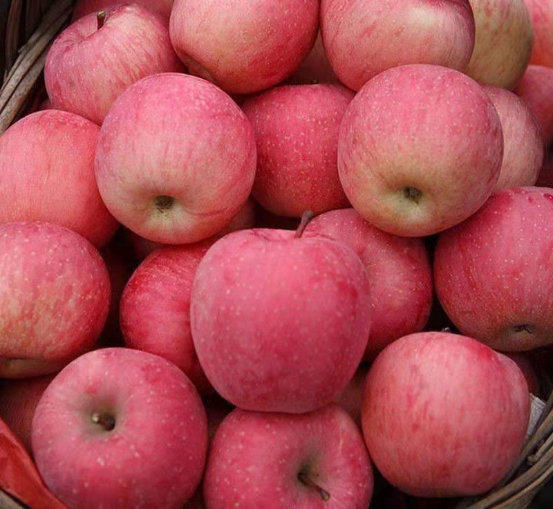 山东【脆甜】红富士苹果产地直销批发，质优价廉，皮薄脆甜