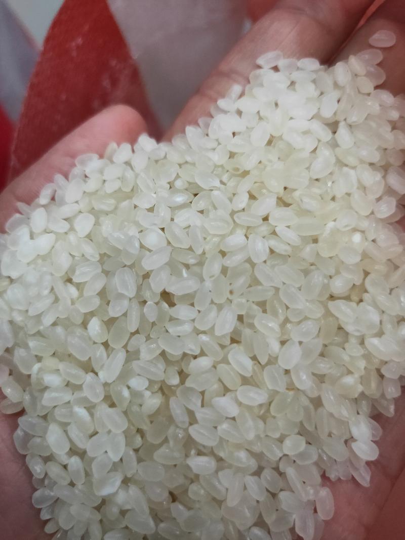 珍珠米，大米，江苏米